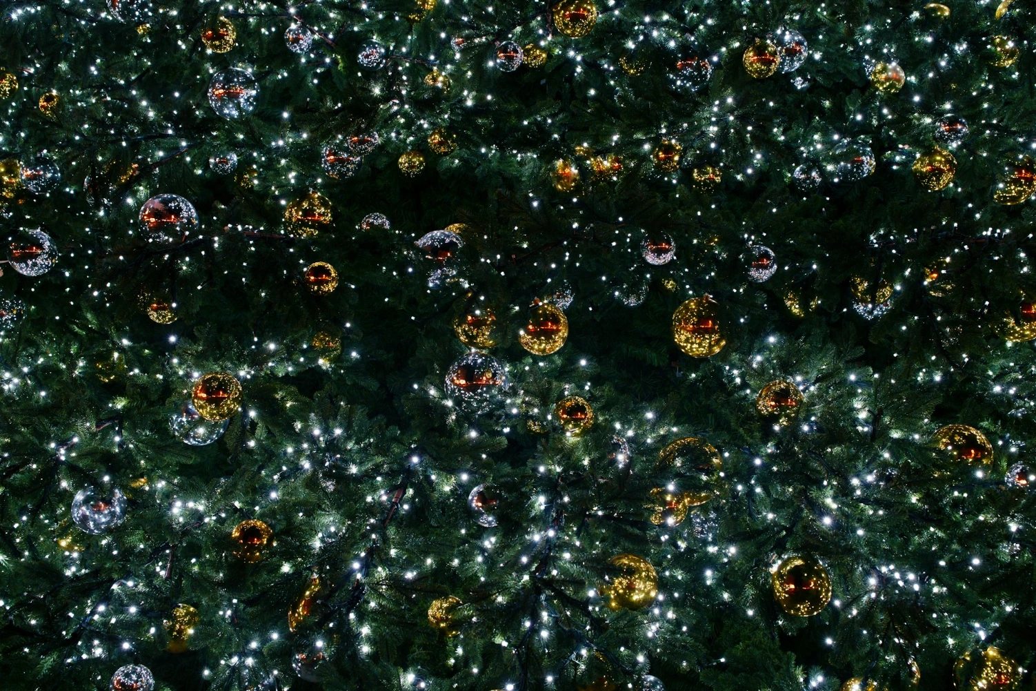 A decorated christmas tree with lights and ornaments